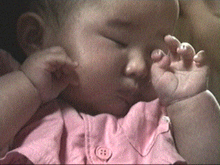 photo22.gif