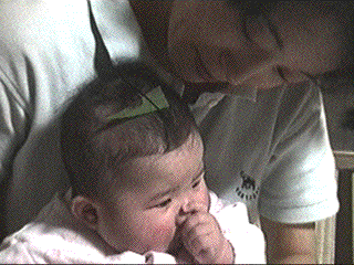 photo23.gif