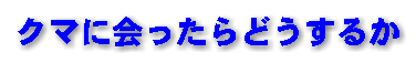 クマに会ったらどうするか