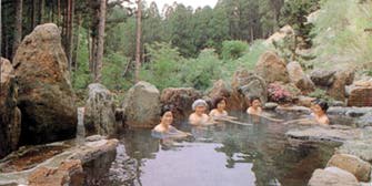 [Spa1]