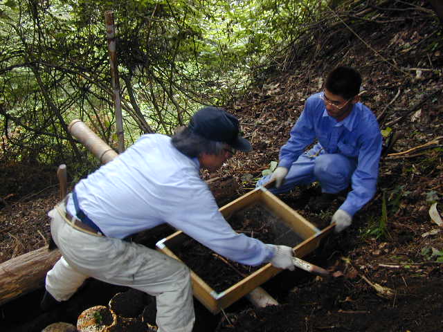 ���ɔ��܂�