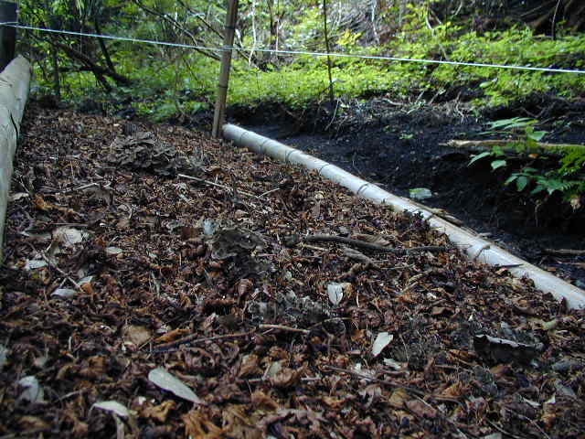 �悭����Əo�Ă܂�