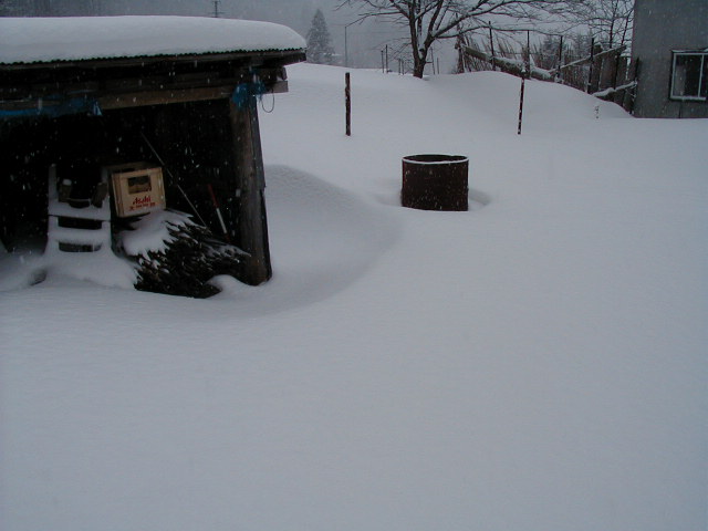 �䂫�ɖ��������