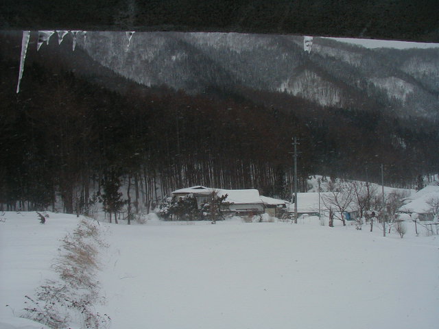 ������B�����G�̂悤�ȕ��i