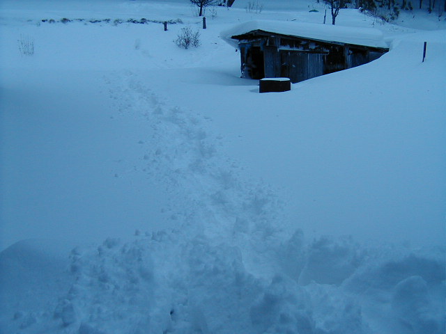 �����ɑ�������