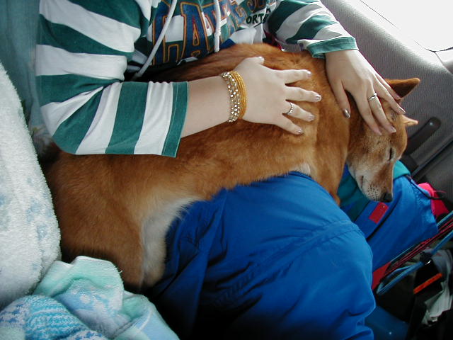 ���I�I�I�I