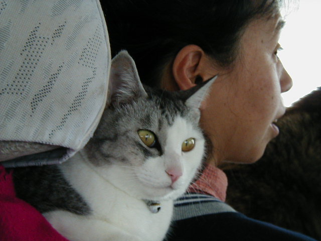 ���H�H�H�H�H