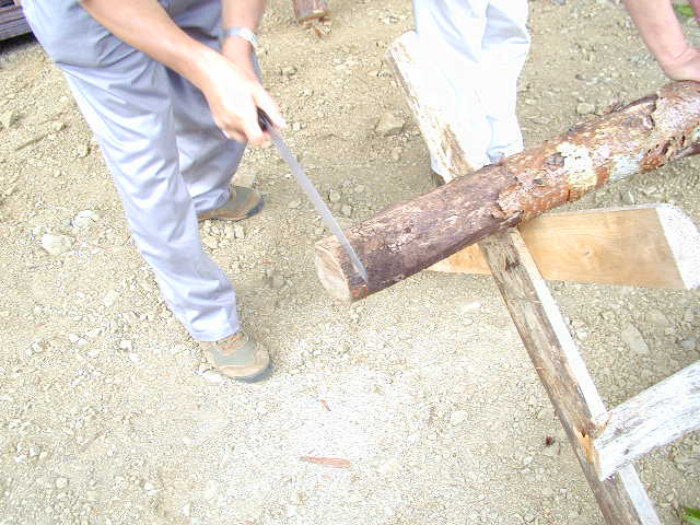 �Ђ�����؂�