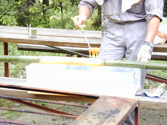 �^�l��������