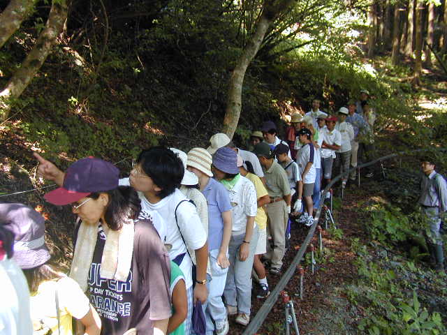 �S����������J�i