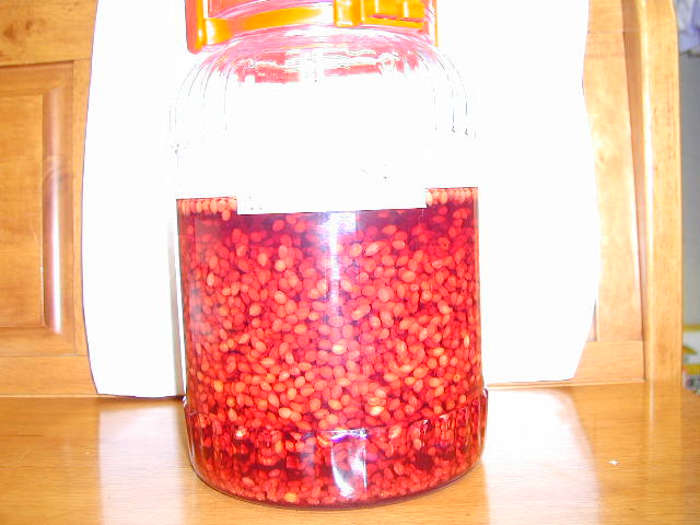 ���Ȃ�Ԃ��Ȃ�܂���