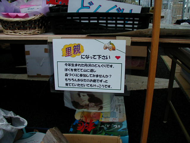 ���e�̒��莆