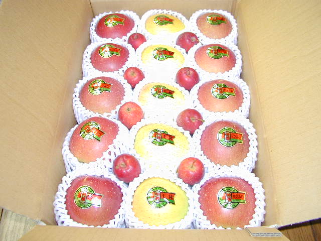 �D���ł������S