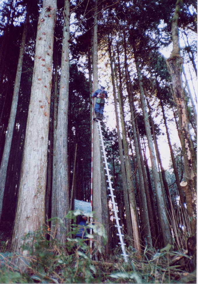 ���悱�̍�����