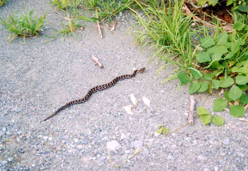 �ɂ���[��