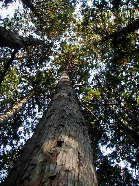 ���]�R�@�V�R�q�o��