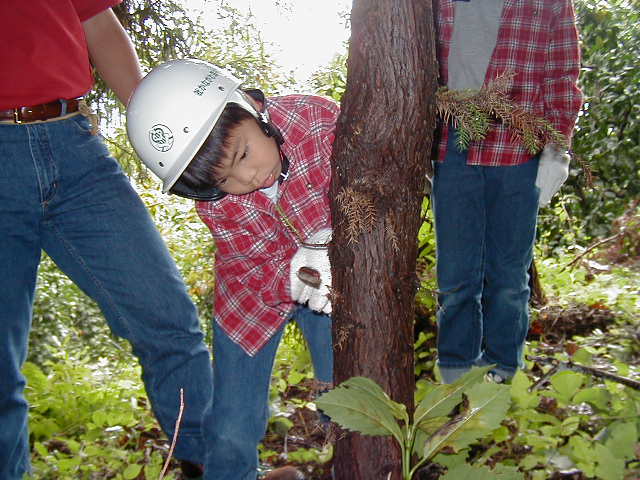 �����؂邼