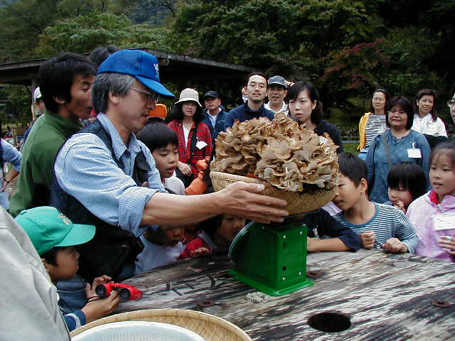 8.5�����I�I