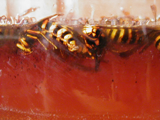 �g��\���I�I