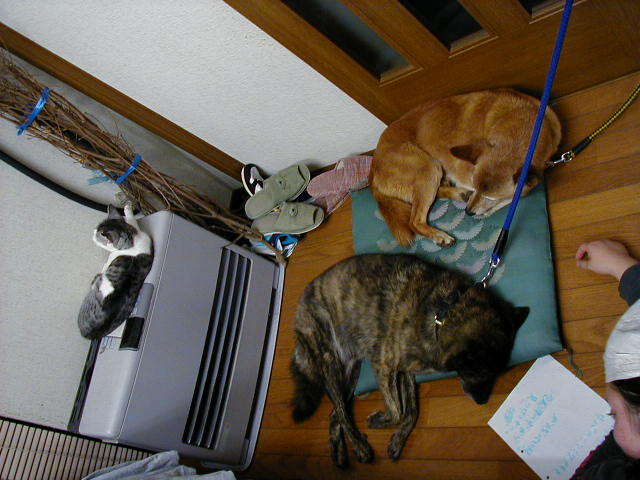 �悭����ƃ~�b�R���`