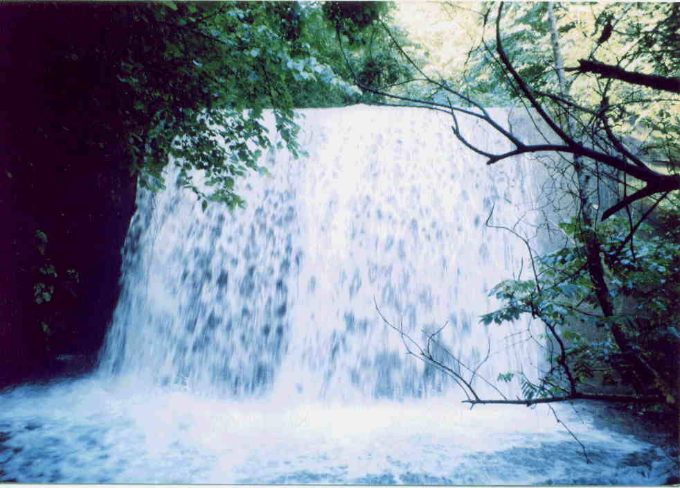 �ꂶ�႟��������