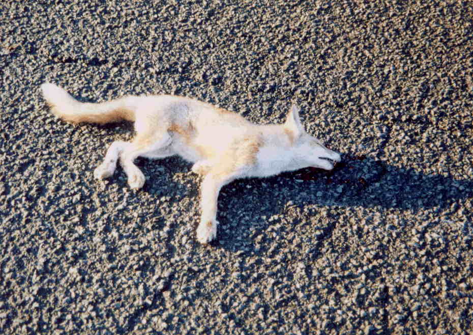 �E�E�E�E�E�E�E�E�B