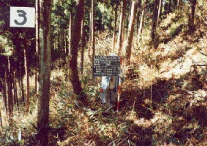 ����΂񎝂�