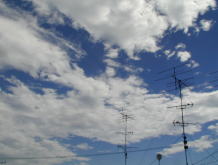 hisayo�����Ƃ̃S���ƃ`�r