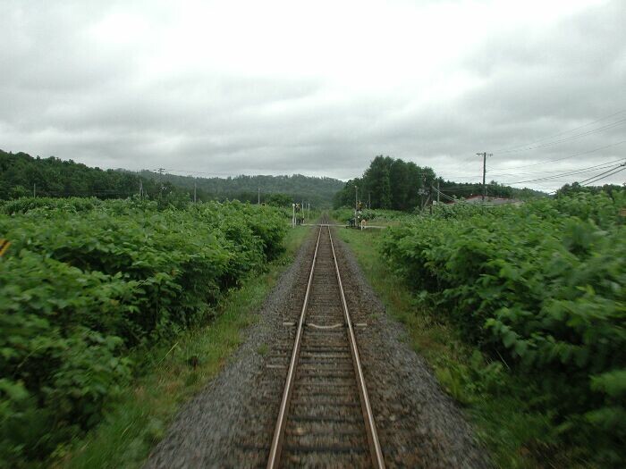 DSCN0230.jpg