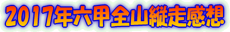 2017�N�Z�b�S�R�c�����z