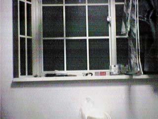 viewer�ɂ��ϊ�