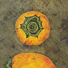 Persimmon (2009)