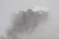 IMG_4-4177