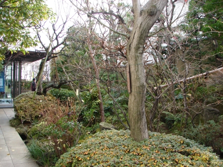 芭蕉記念館の庭