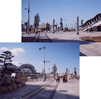 �V�����w5