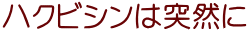 �n�N�r�V���͓ˑR��