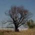 �]�ˌ���