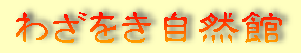 �킴�������R��