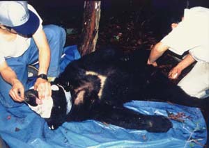 �w�p�ߊl�������i�ʐ^