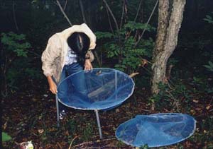 �V�[�h�g���b�v�ݒu���i�ʐ^