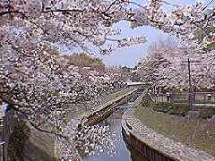 �P������