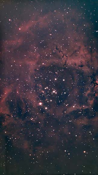 バラ星雲