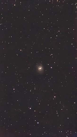 M95の画像