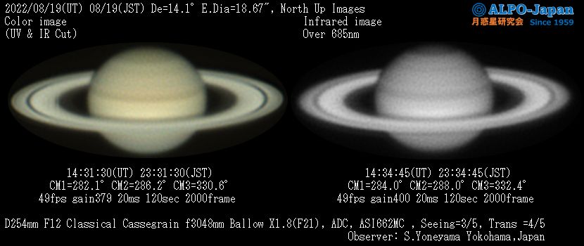 2022/8/19�̓y��