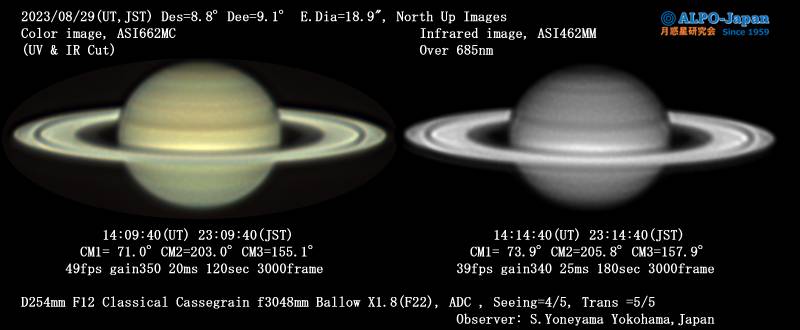 2023/8/29�̓y��