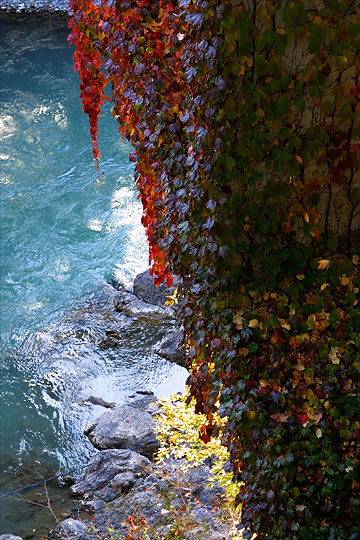 sp60b.jpg (97345 �o�C�g)