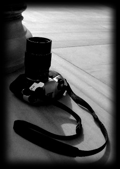 banner.jpg (21493 �o�C�g)