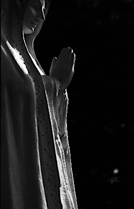 Scan5186.jpg (33572 �o�C�g)