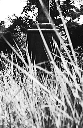 Scan5189.jpg (87425 �o�C�g)