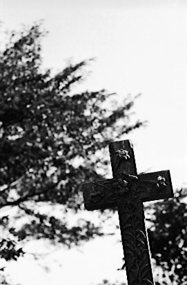 Scan5191.jpg (52821 �o�C�g)